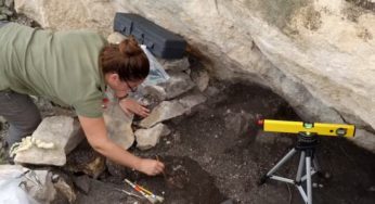 Tunisie: La trace génétique de chasseurs-cueilleurs européens trouvée chez un individu de Djebba datant d’environ 8 000 ans