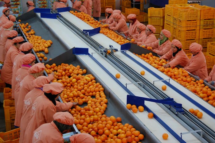 Tunisie : Excédent de la balance alimentaire de 390,2 MD à fin février 2025