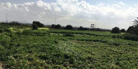 Tunisie – Oued Ellil : Un terrain agricole dédié à une unité de traitement des ordures ? La municipalité dément