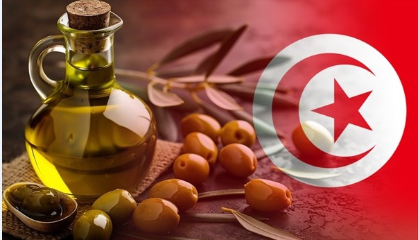 Succès international : la Tunisie sacrée championne à la compétition européenne de l’huile d’olive 2025