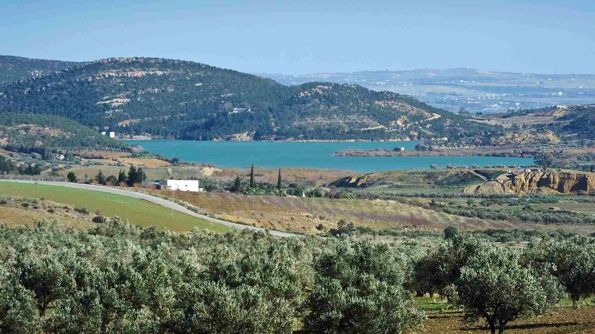 Appui pour le développement d’un plan de financement de la biodiversité