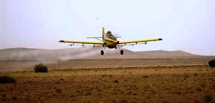 Tunisie – Ben Guerdene : Traitement de 300 hectares contre les crickets pèlerins