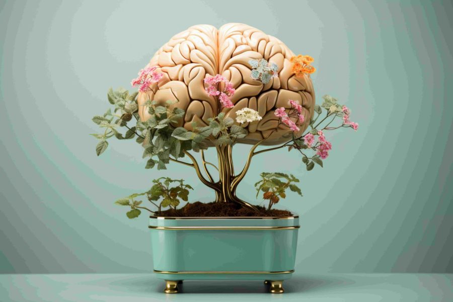 Psychologie : Cerveau flexible, esprit libre : pourquoi et comment développer la plasticité cérébrale