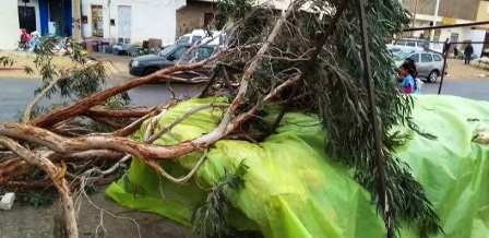 Tunisie – Kébili : Chutes de poteaux et d’arbres lors d’une tempête de sable