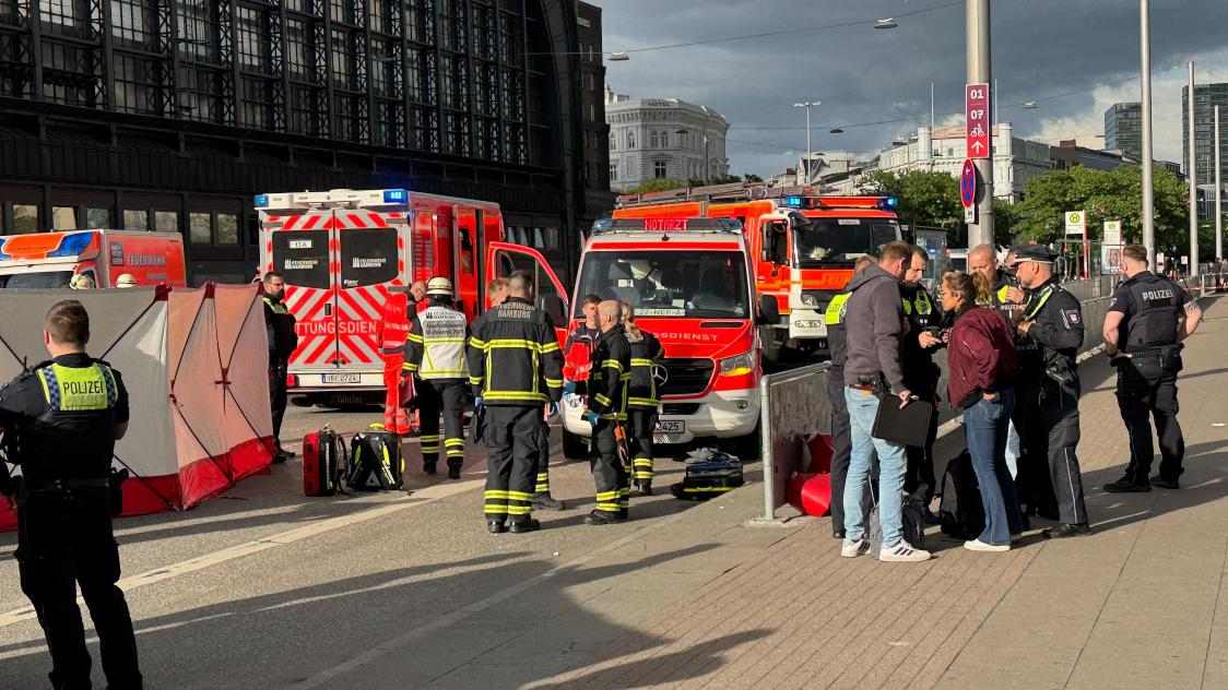 Allemagne : Attaque au couteau dans la gare centrale de Hambourg, 12 blessés au moins