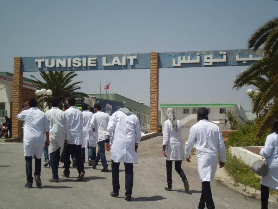 Usine laitière de Sidi Bou Ali : l’État revient dans la course