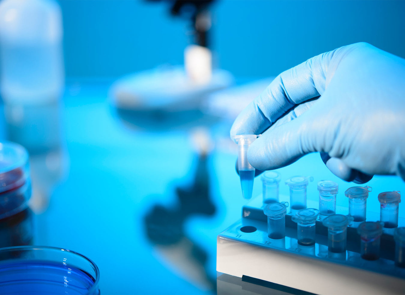 Les exportations des médicaments franchissent la barre des 396 MD en 2024