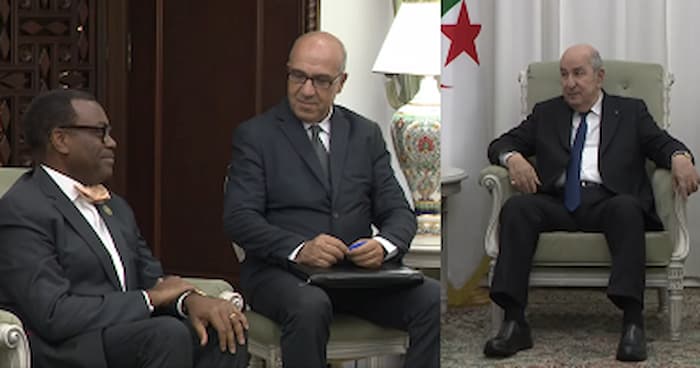 Algérie: Le président de la BAD Akinwumi Adesina chez Abdelmadjid Tebboune