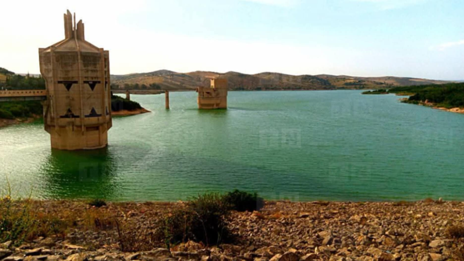 Béja: Campagne de nettoyage du barrage de Sidi Salem et appel à la vigilance des citoyens