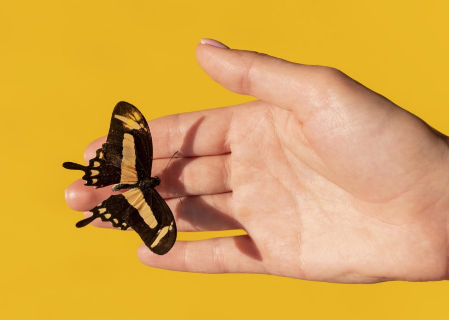 Psychologie : 4 croyances limitantes qui détruisent vos rêves