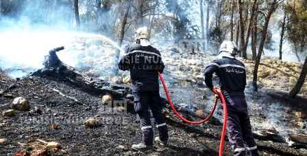 Tunisie – La Protection Civile appelle à éviter tout comportement pouvant déclencher des feux de forêt
