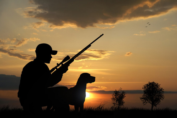 Dates d’ouverture et de fermeture de la chasse pour la saison 2025/2026