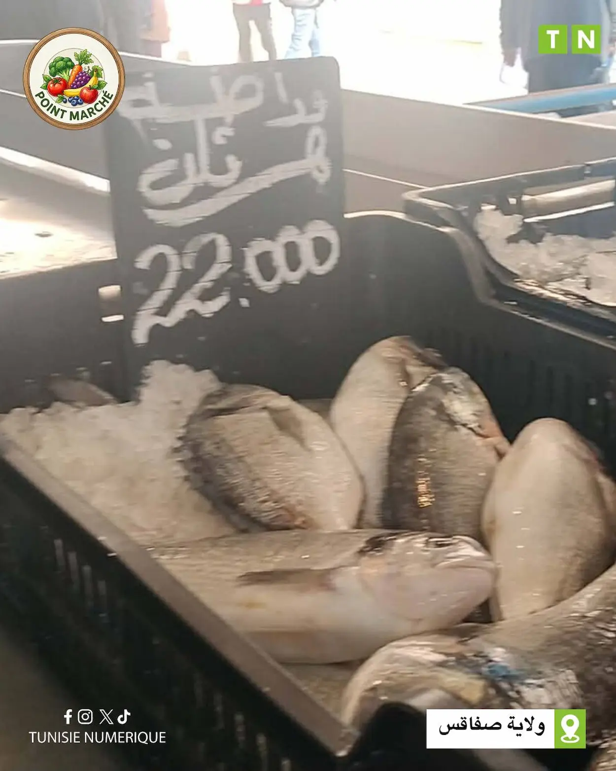 Alimentation à Sfax: quels sont les prix du jour au marché ? (Photos+Vidéo)