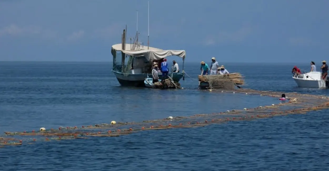 Tunisie – Produits de la pêche: un excédent commercial de 9,1 millions de dinars à fin janvier 2026