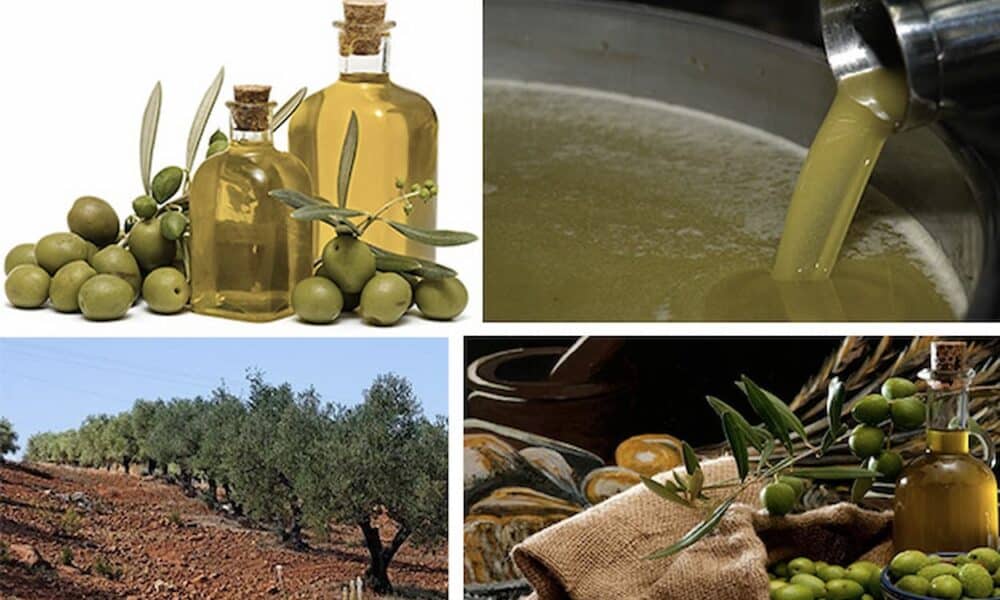L huile D olive Tunisienne Rafle 68 M dailles Dont 49 En Or N 1 l-huile-d-olive-tunisienne-rafle-68-m-dailles-dont-49-en-or-n-1