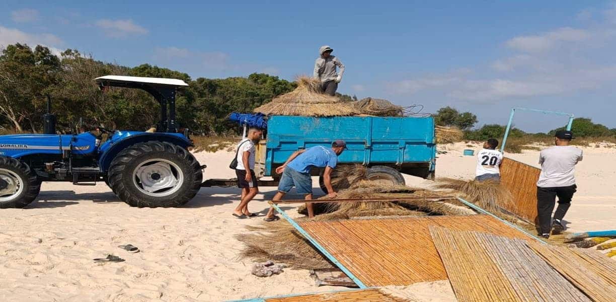 Bizerte : vaste opération contre l’occupation anarchique des plages à ...