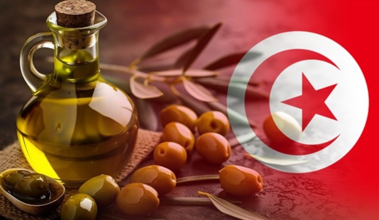 Bizerte : une récolte d’olives estimée à 16 000 tonnes, la campagne démarre le 1er novembre Bizerte : une récolte d’olives estimée à 16 000 tonnes, la campagne démarre le 1er novembre