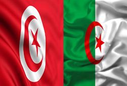 Jrandi: Les relations algéro-tunisiennes sont en continuelle évolution