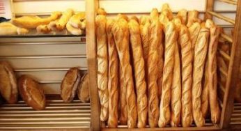 Le secrétaire général de la Fédération des produits alimentaires: Des lobbies veulent affamer le peuple (Audio)