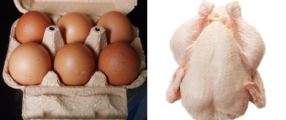 La fédération nationale des aviculteurs appelle ses adhérents à fixer les prix des œufs et du poulet de chair