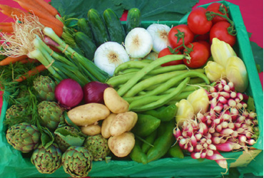 Tunisie: L’UTAP met en garde contre l’importation des légumes égyptiens