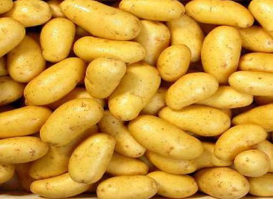 Sousse- 46 tonnes de pommes de terre saisies dans un entrepôt clandestin à Chott Mariem